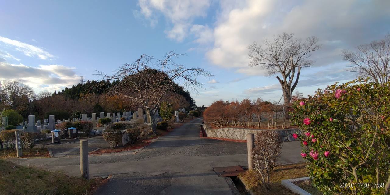 1区10番墓所・臨時駐車場風景（落葉）