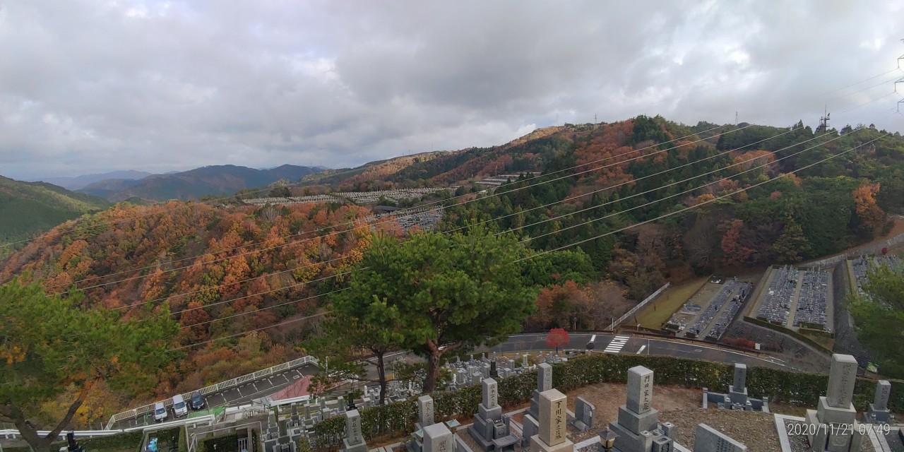 8区4番枝道駐車場から園内風景