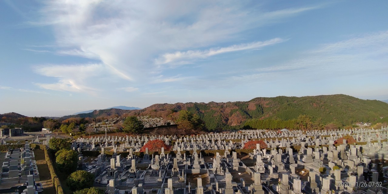 11区7番墓所から園内（西）風景