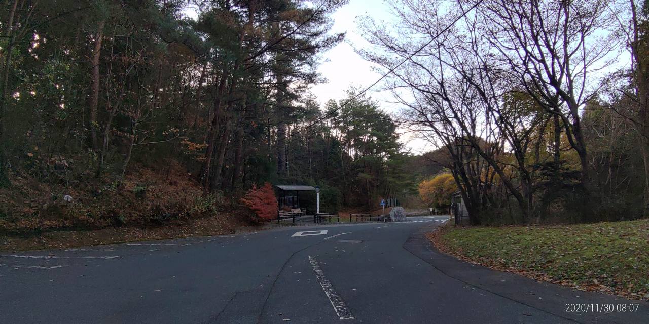 バス通り・八天の森バス停風景（落葉）