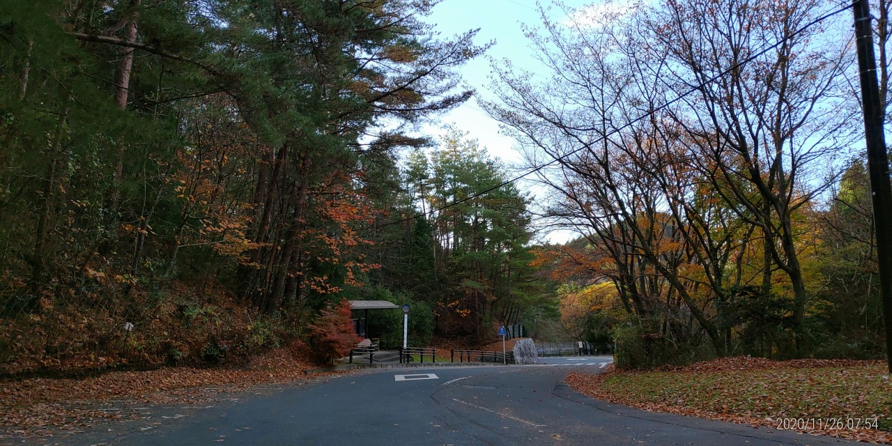 バス通り・八天の森バス停風景