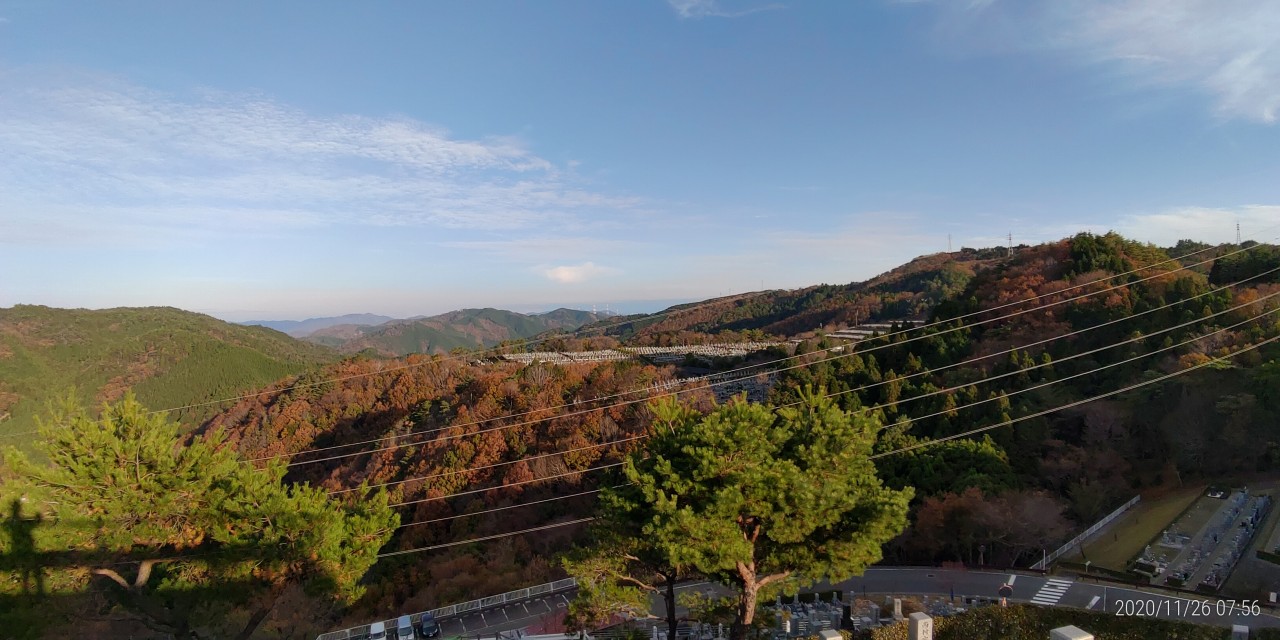 8区4番枝道駐車場から園内（北）風景