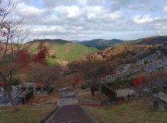 7区7番上段駐車場から階段墓域風景