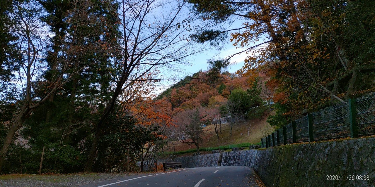 バス通り・5区墓所手前風景