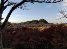 北口バス停　休憩所から園内風景