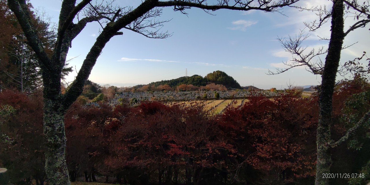 北口バス停　休憩所から園内風景