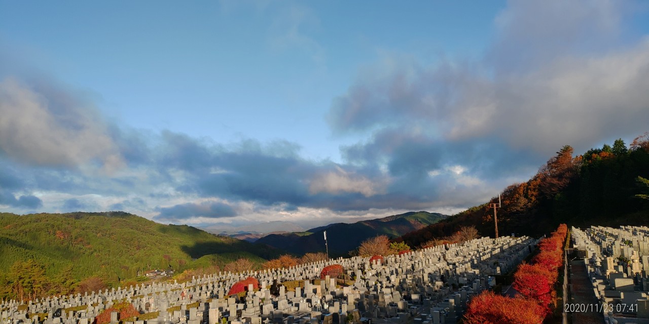 11区7番墓所から園内（北）風景