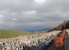 11区7番墓所から園内（北）風景