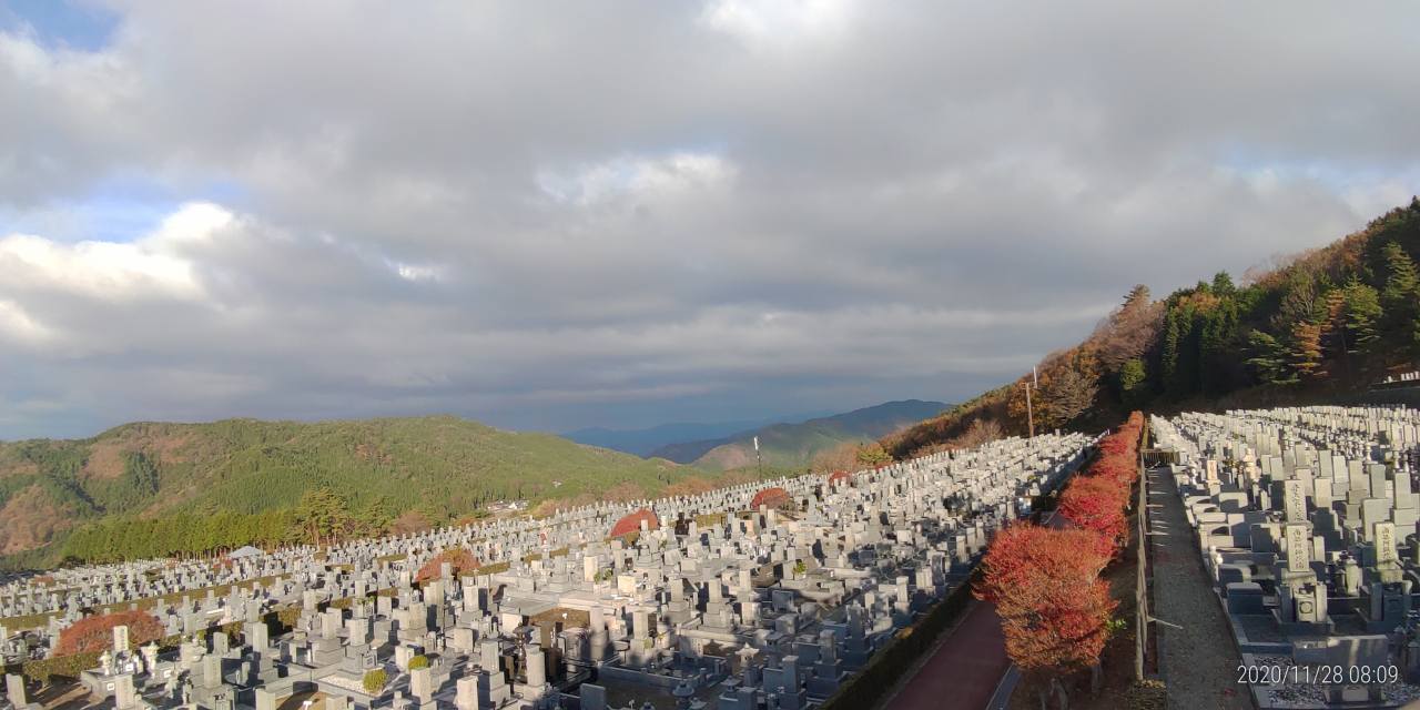 11区7番墓所から園内（北）風景