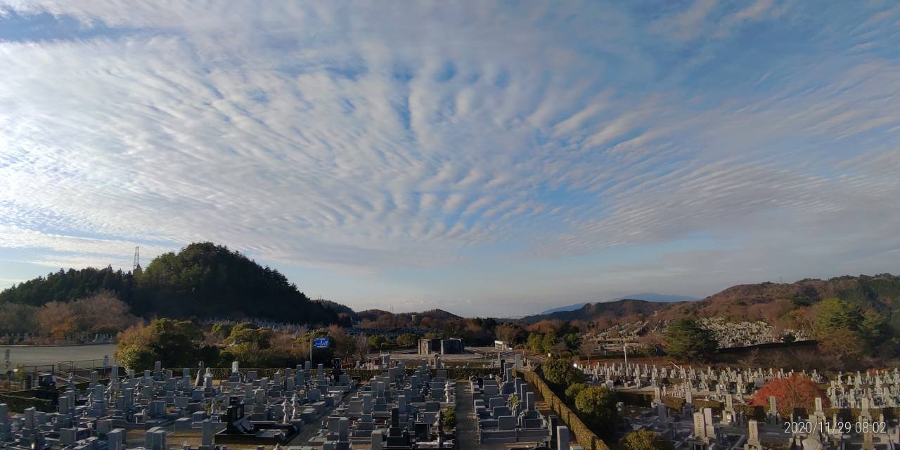 11区7番墓所から園内（南西）風景