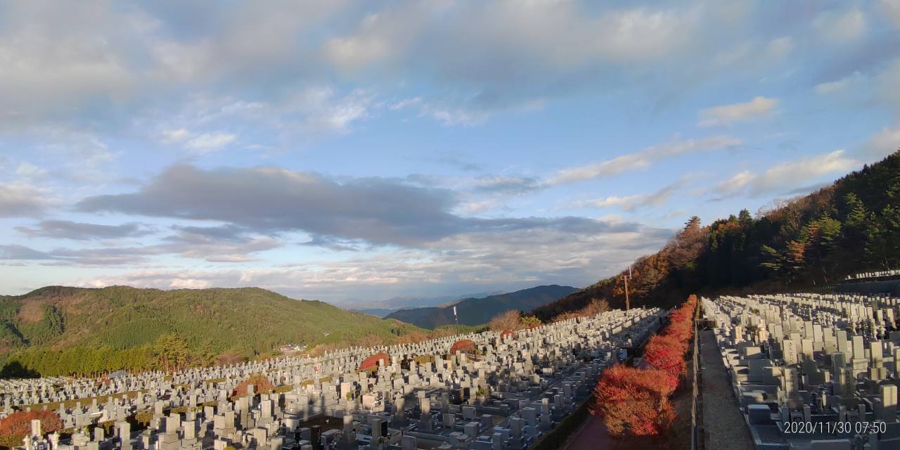 11区7番墓所から園内（北）風景