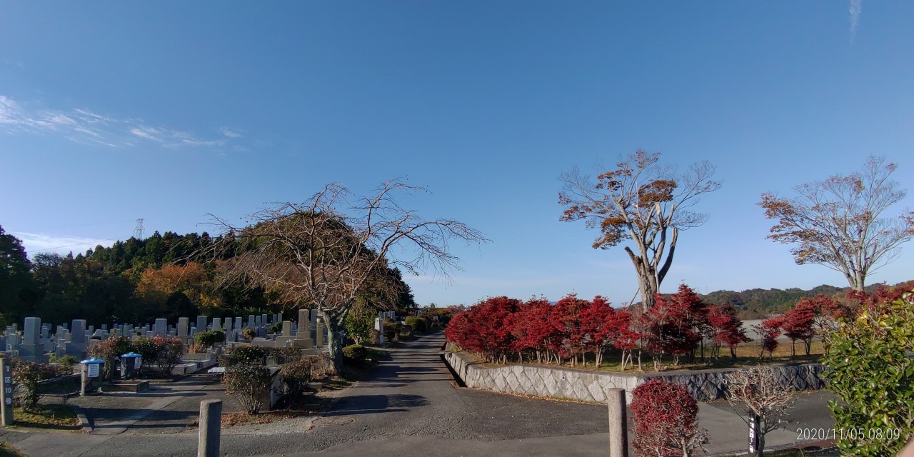 臨時駐車場・1区10番枝道風景