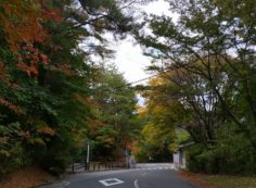 バス通り・八天の森バス停風景