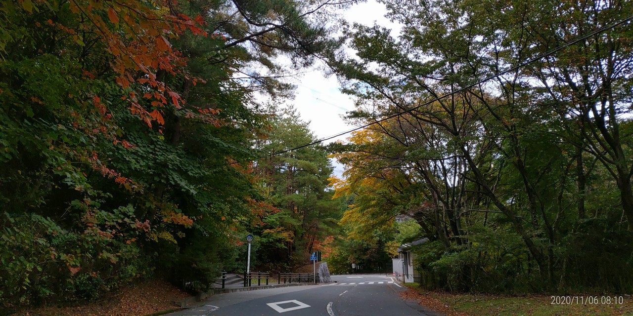 バス通り・八天の森バス停風景