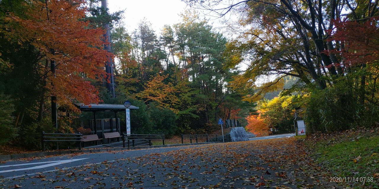 バス通り・八天の森バス停風景