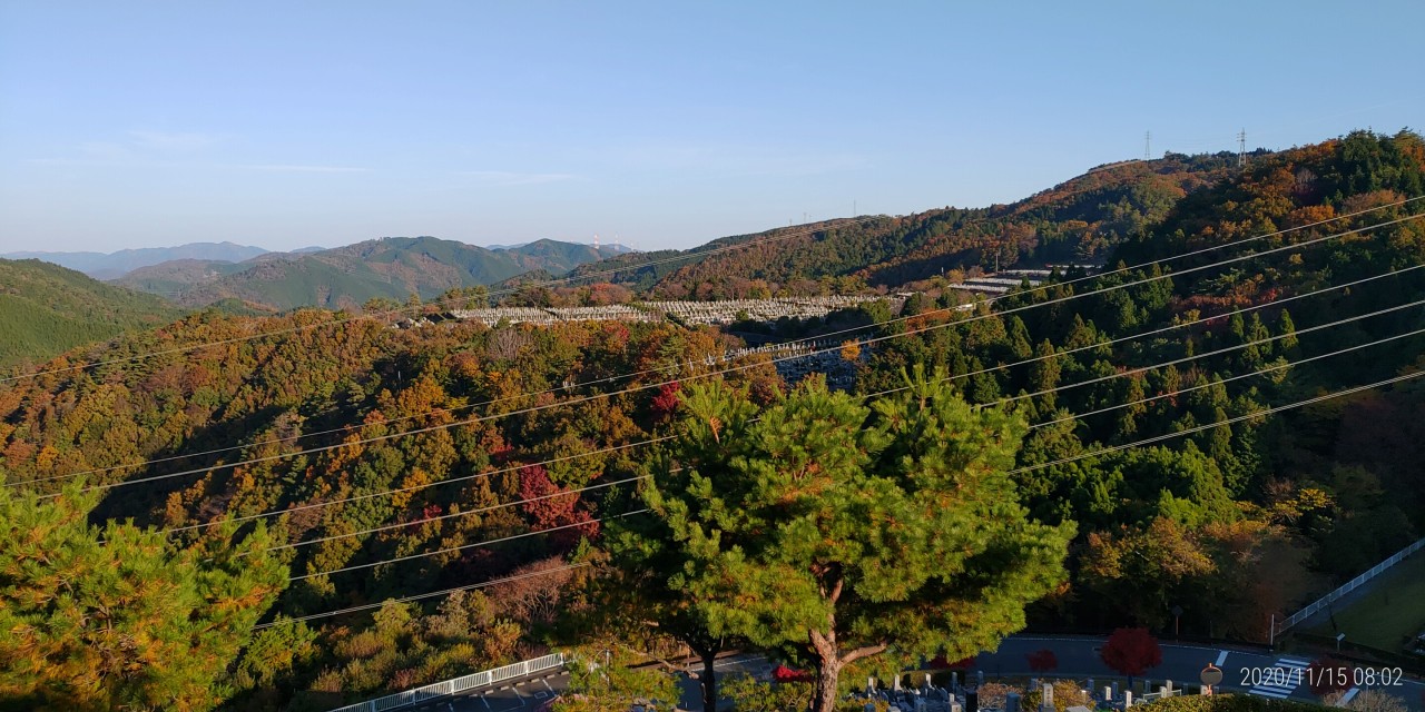 8区4番枝道駐車場から園内風景