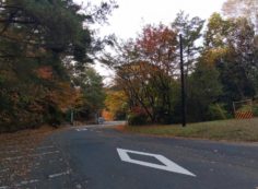 バス道り・八天の森バス停風景