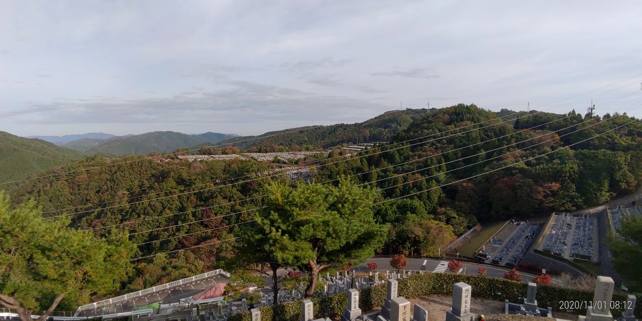 8区4番枝道駐車場から園内風景