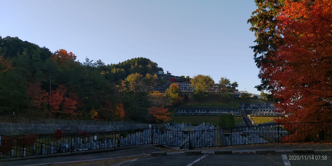 8区階段墓域風景