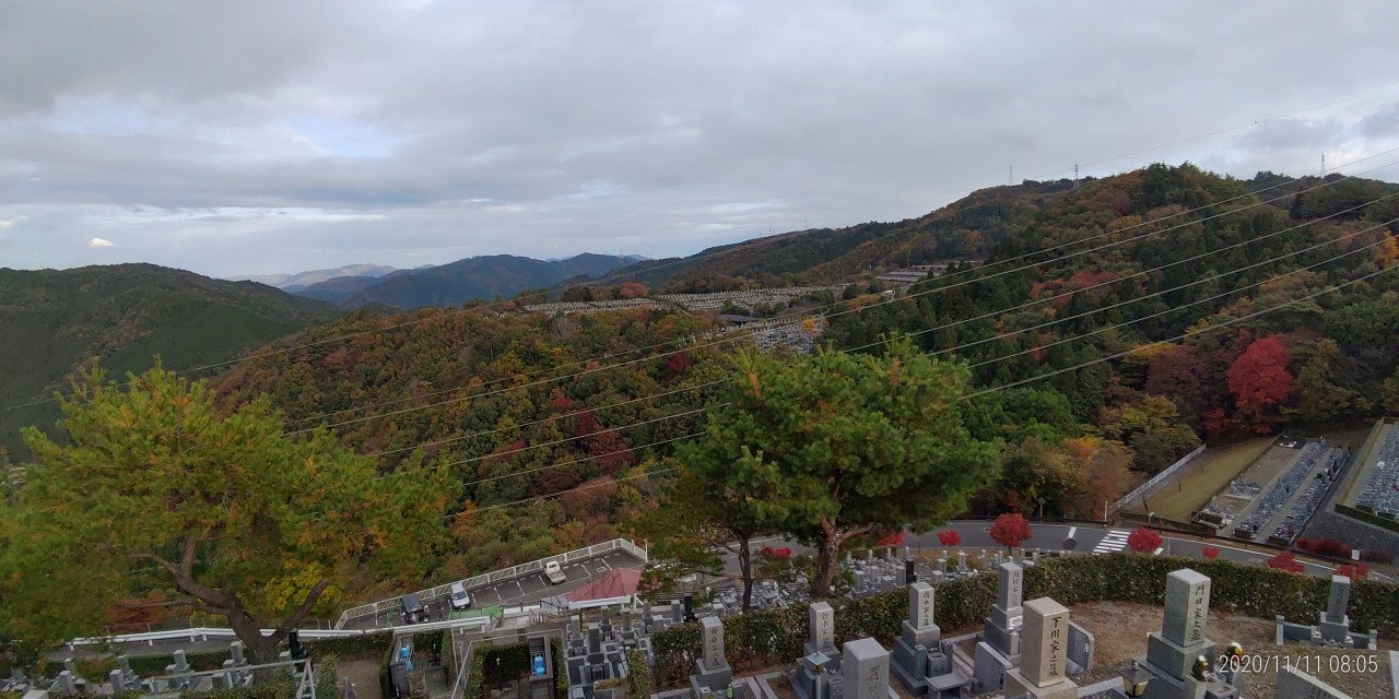 8区4番枝道駐車場から園内風景