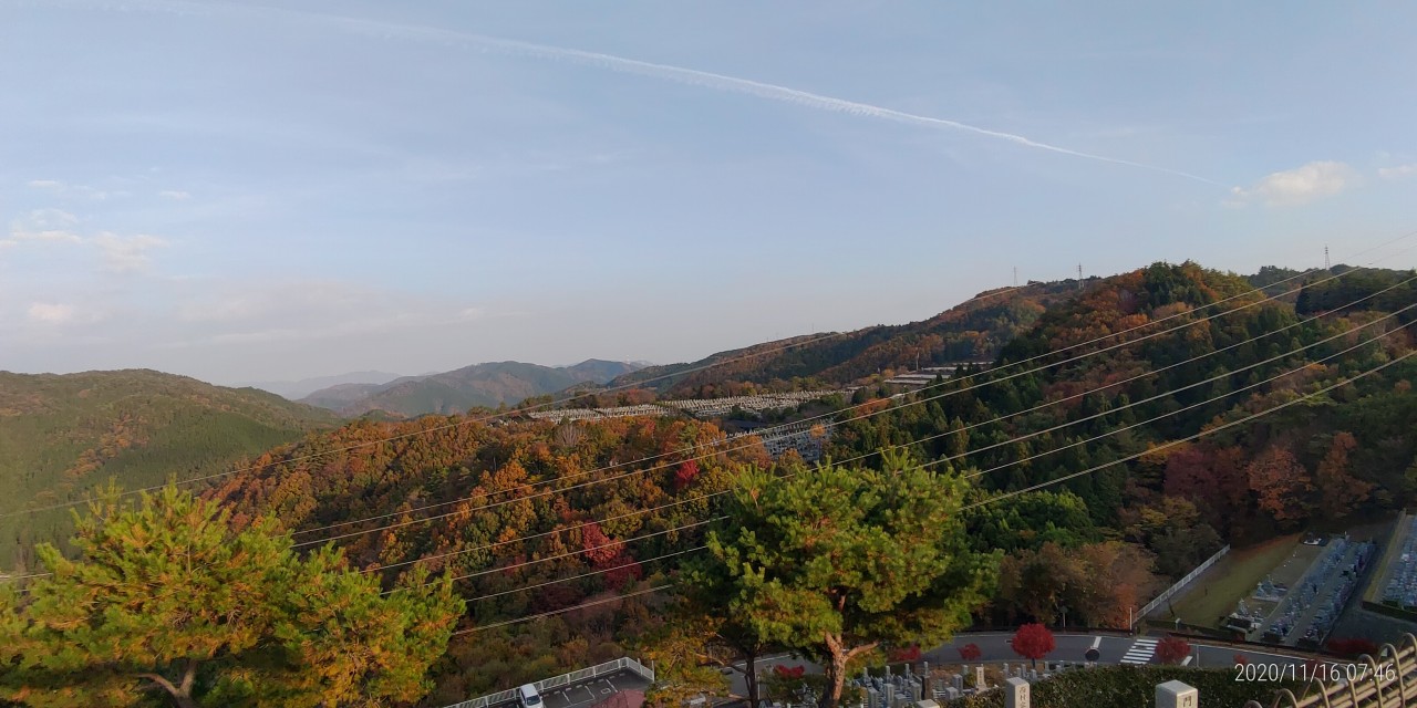 8区4番枝道駐車場から園内風景