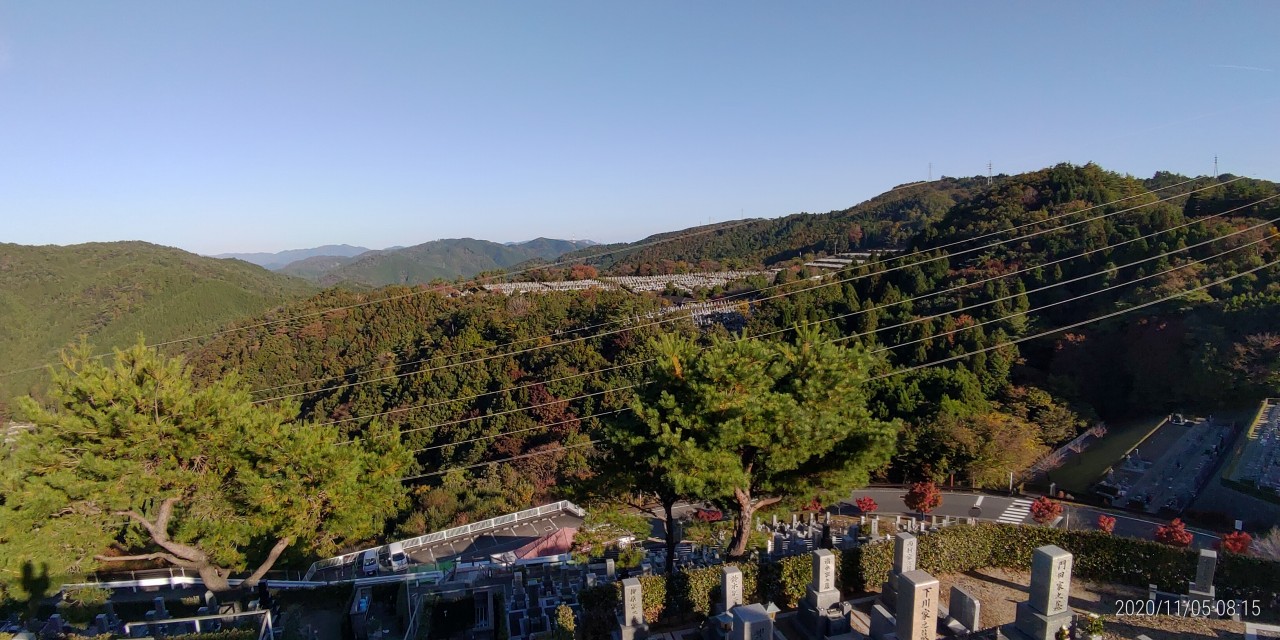 8区4番枝道駐車場から園内風景