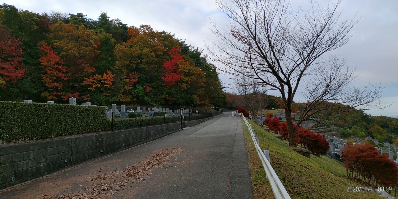 8区6番墓所前から階段墓所風景