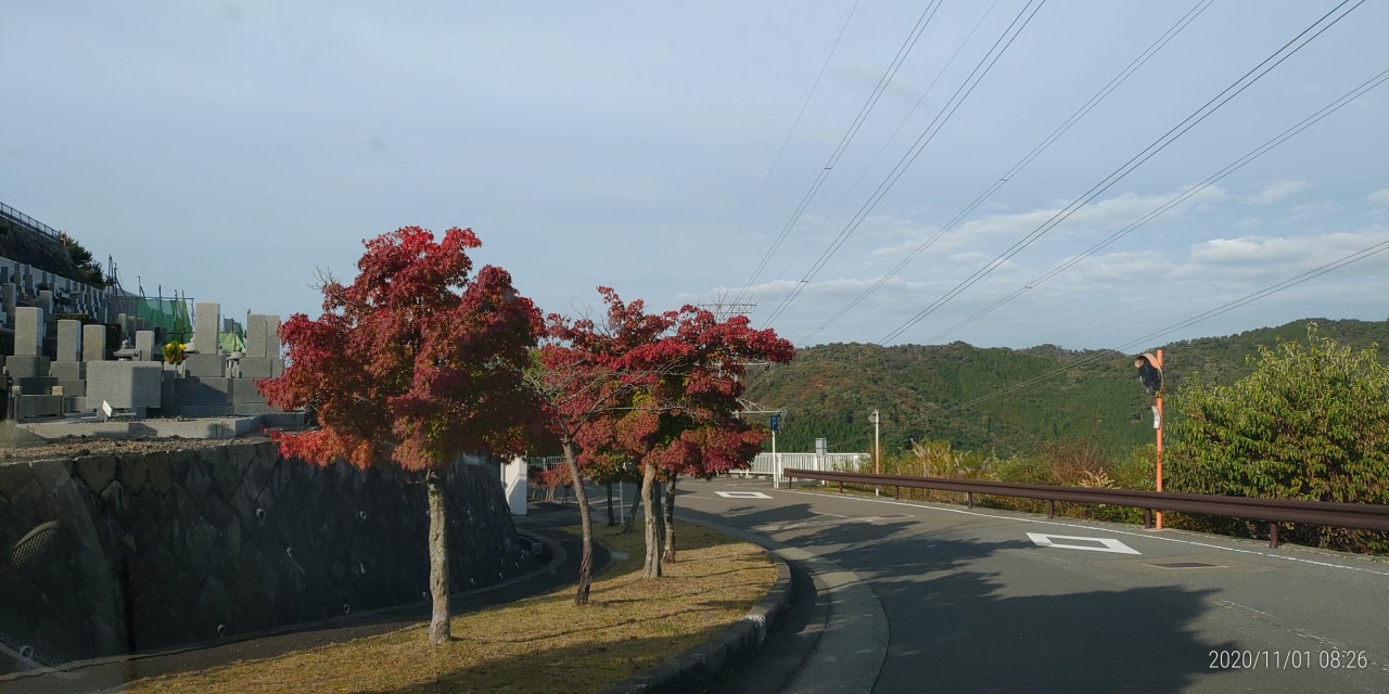 バス通り・8区バス停手前