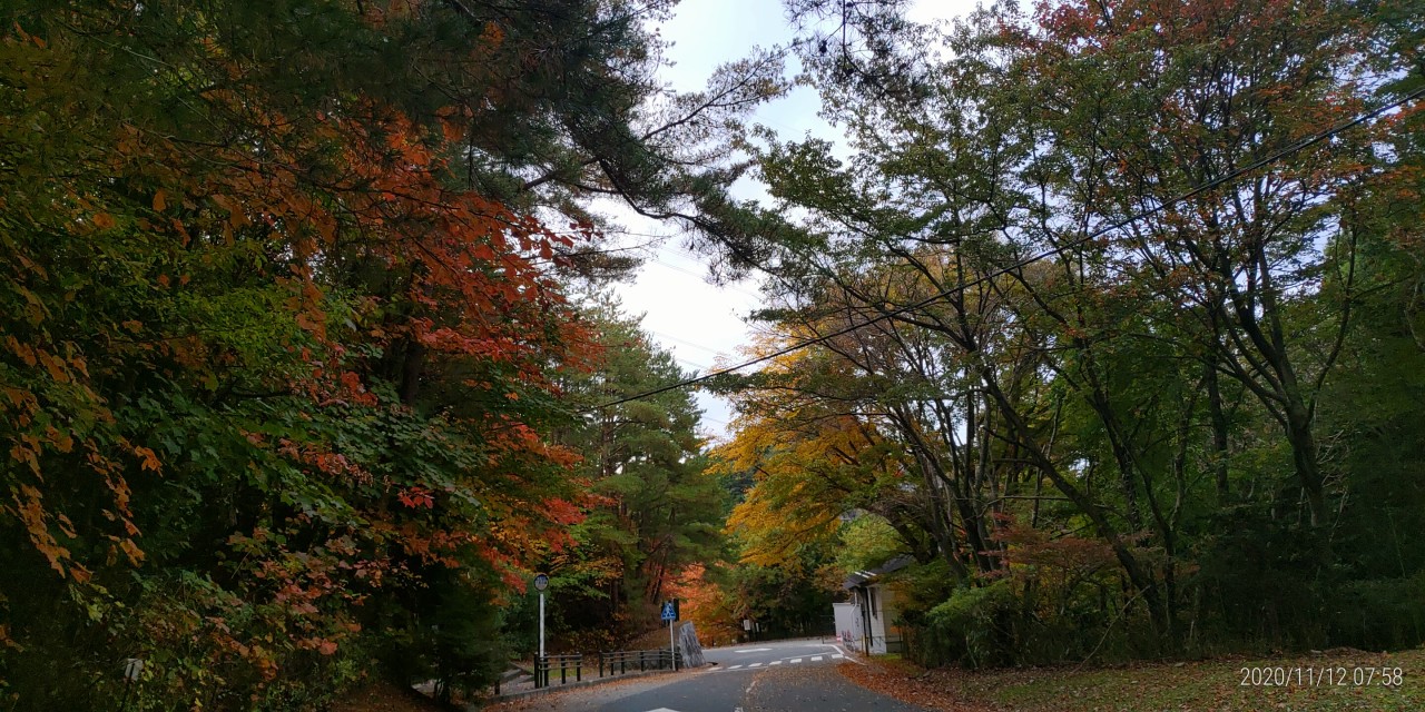 バス通り・八天の森風景