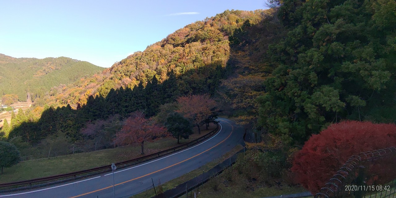 バス道理・5区5番墓所からの風景