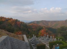 7区3番上段駐車場から階段墓域（南西）風景