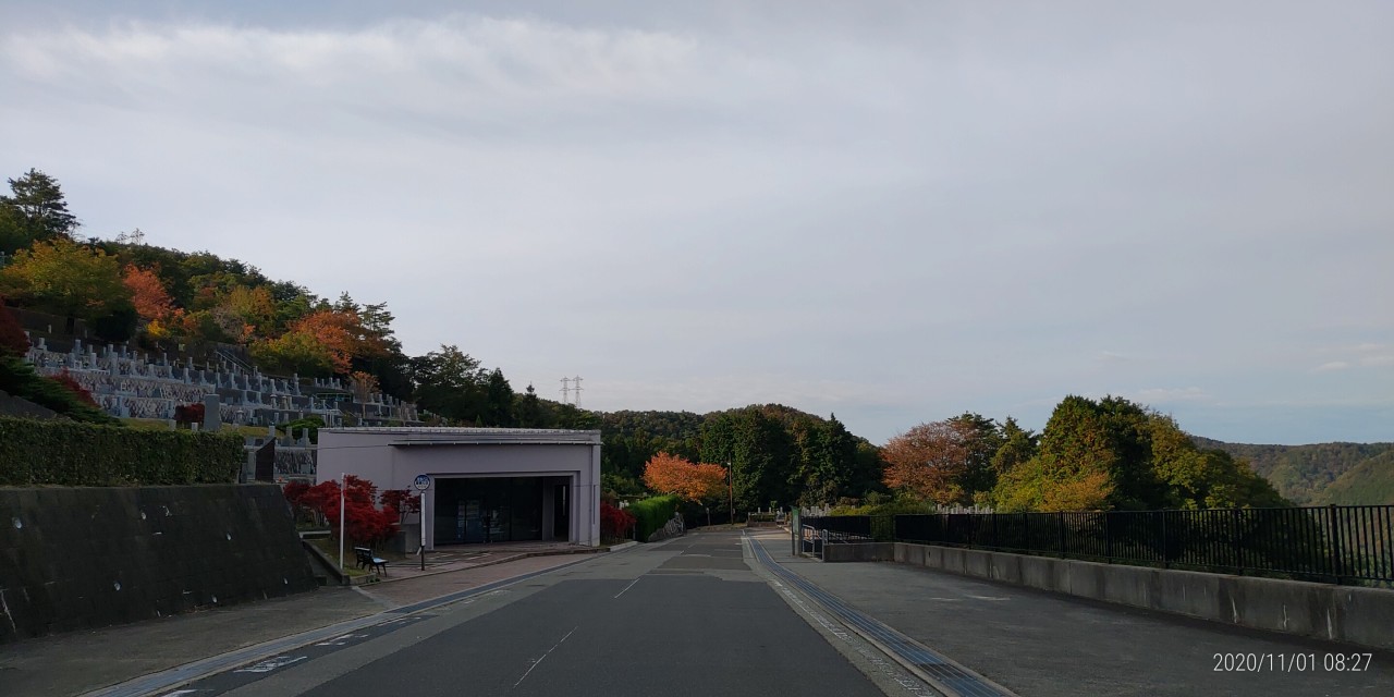 バス通り・バス停風景