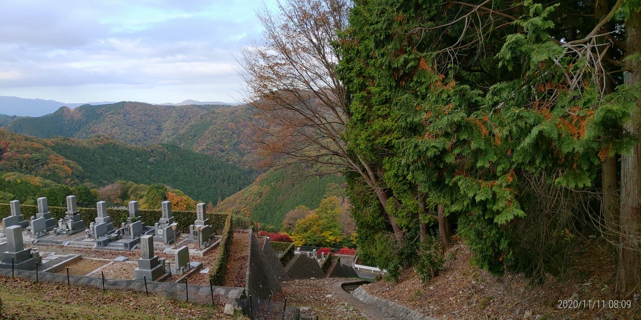 8区6番墓所前から階段墓所風景