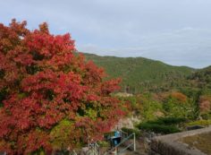 5区2番墓所から園内風景