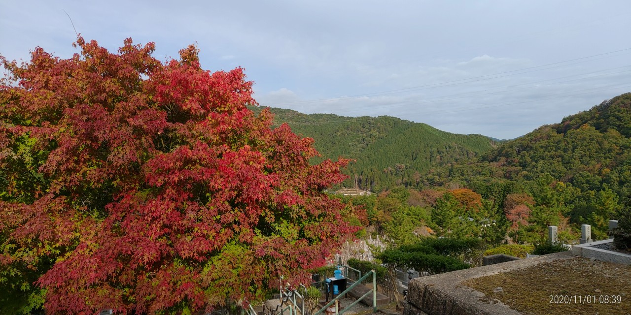 5区2番墓所から園内風景