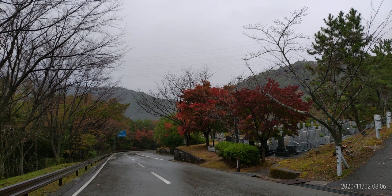 バス通り・5区1番墓域風景