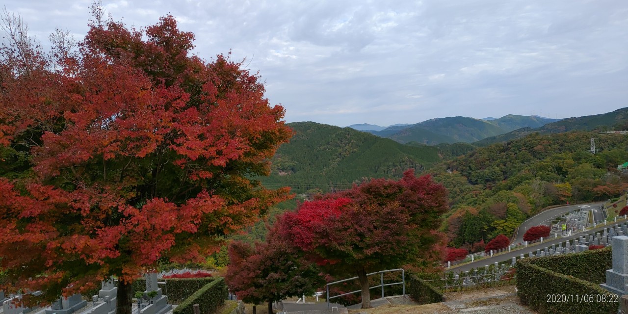 7区7番墓所上段駐車場からの風景