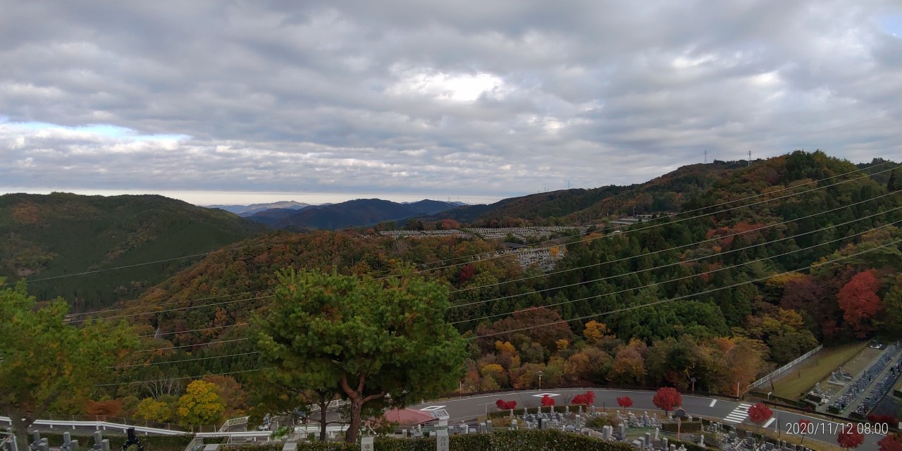 8区4番枝道駐車場から園内風景