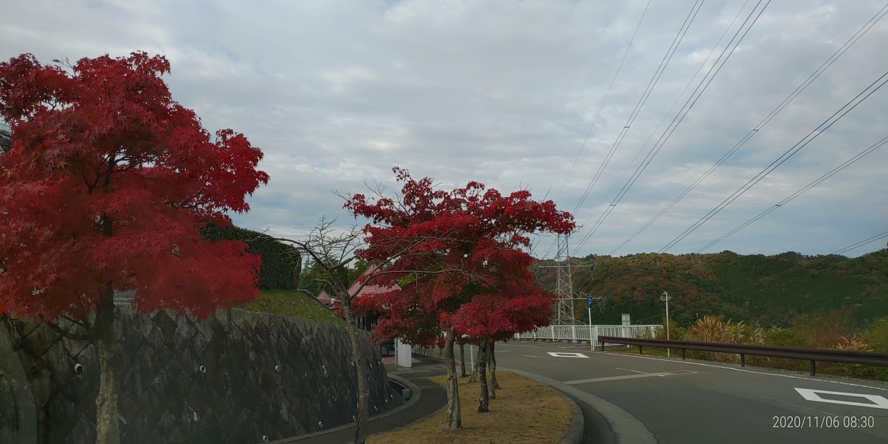 バス通り・8区バス停手前風景