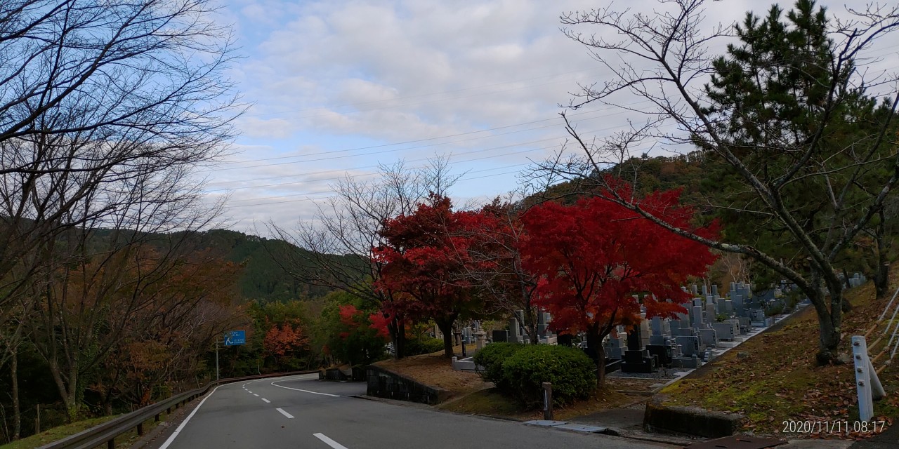 バス通り・5区1番墓域風景