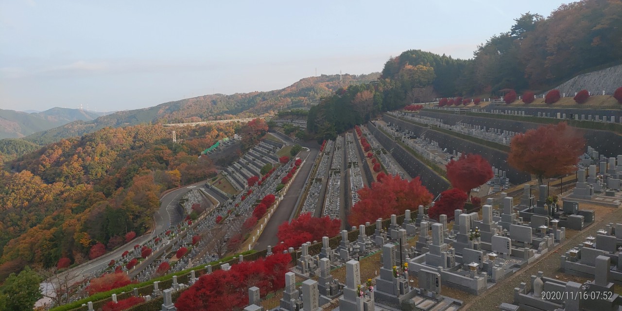 7区3番上段駐車場から階段墓域（北）風景