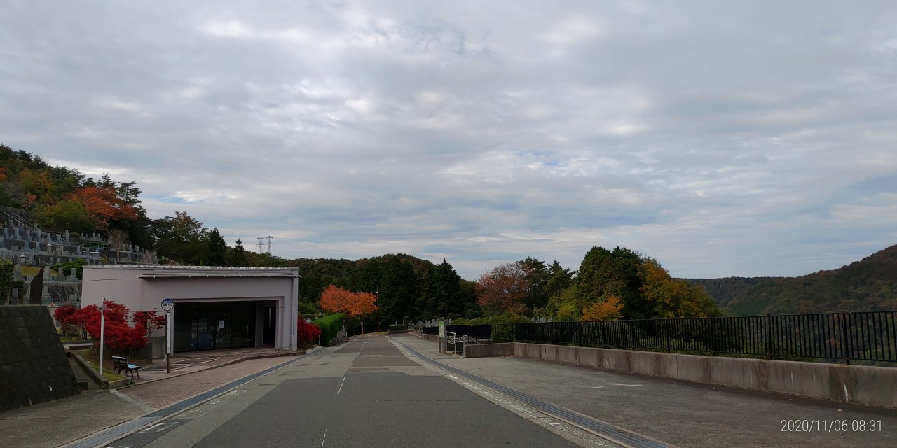 バス通り7区バス停前風景