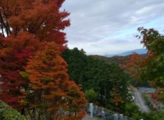 8区5番墓所からの風景