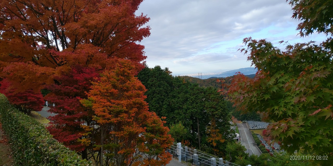 8区5番墓所からの風景