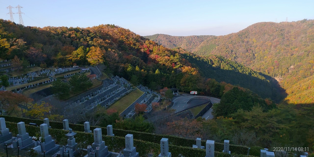 6区4/5番墓所枝道からの風景