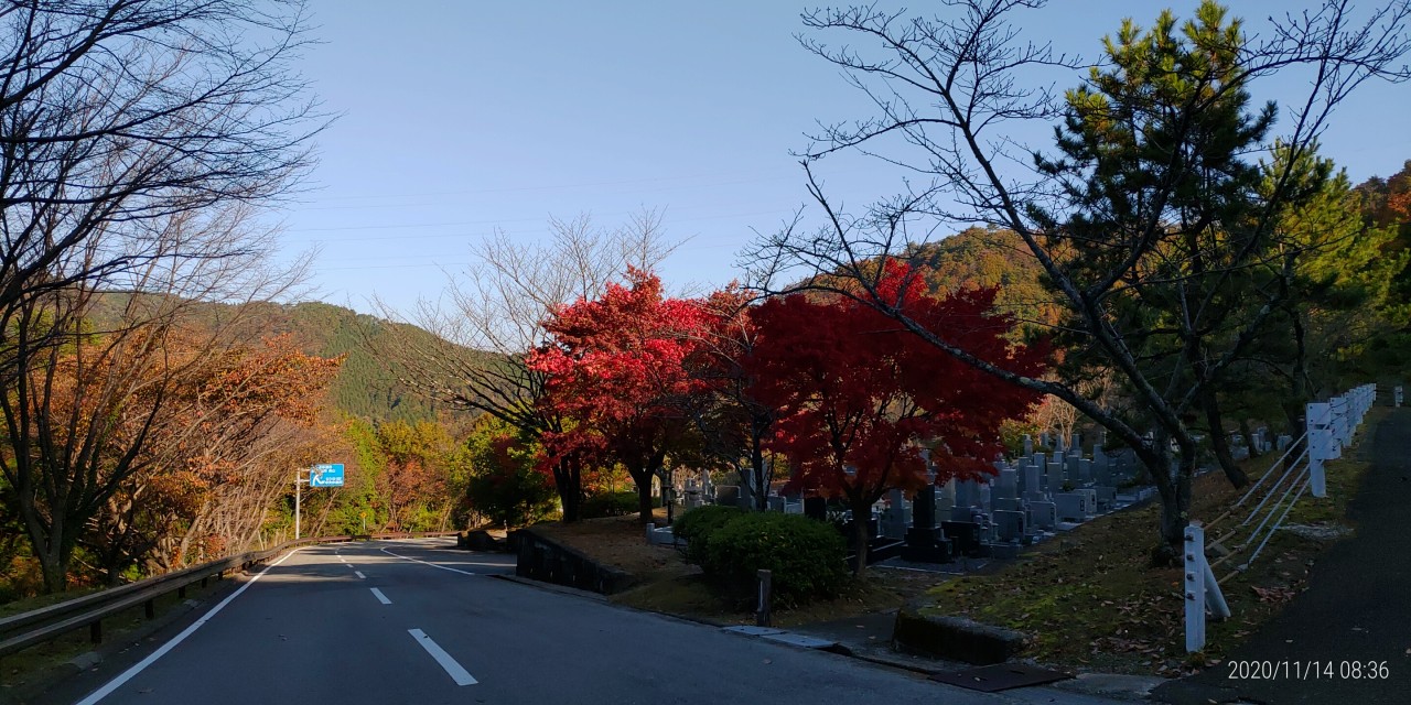 バス通り・5区1番墓所風景