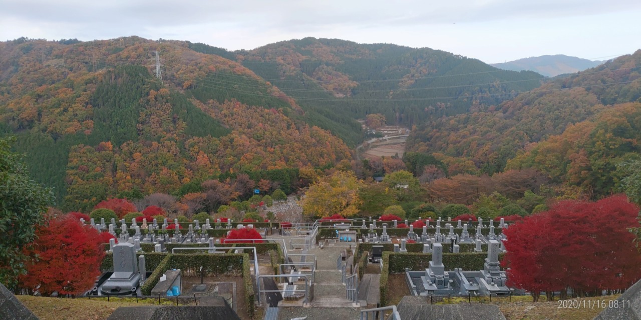 7区バス停前から5区墓所風景