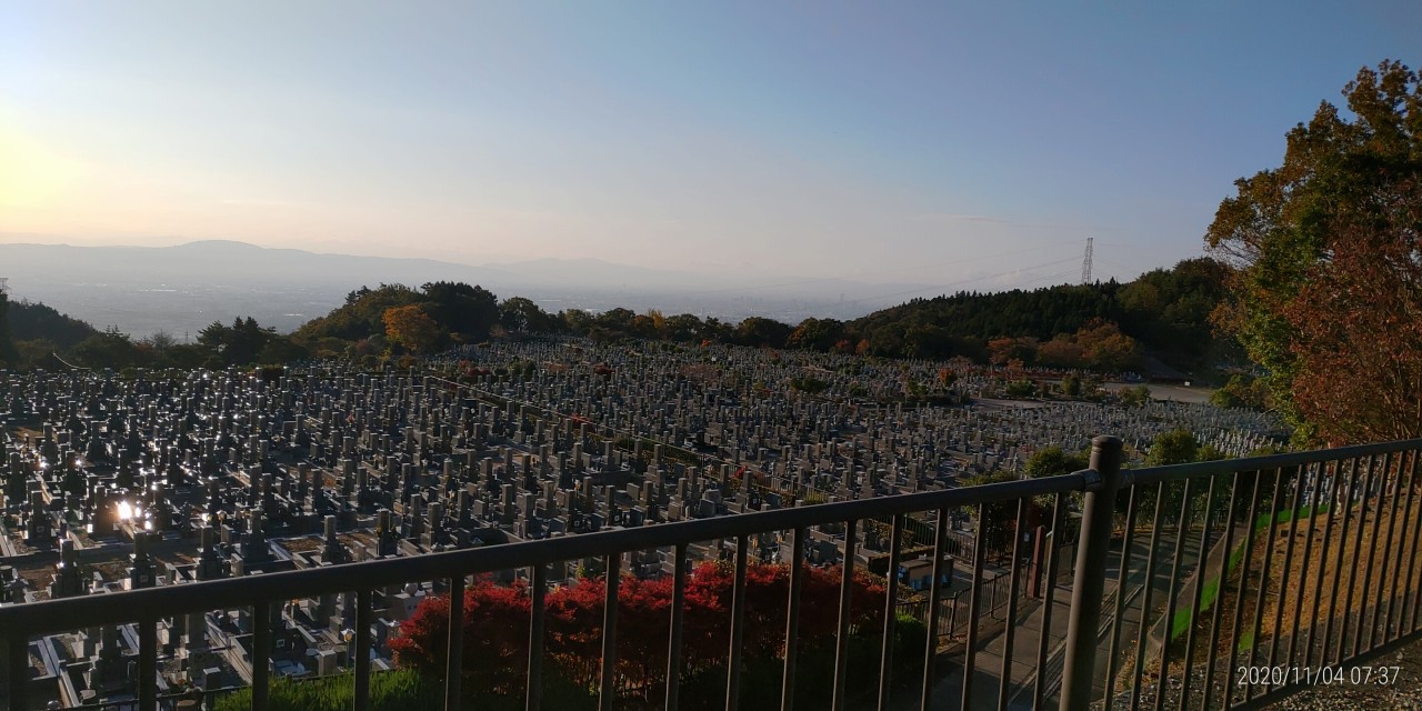 11区1番墓所から園内（南）風景