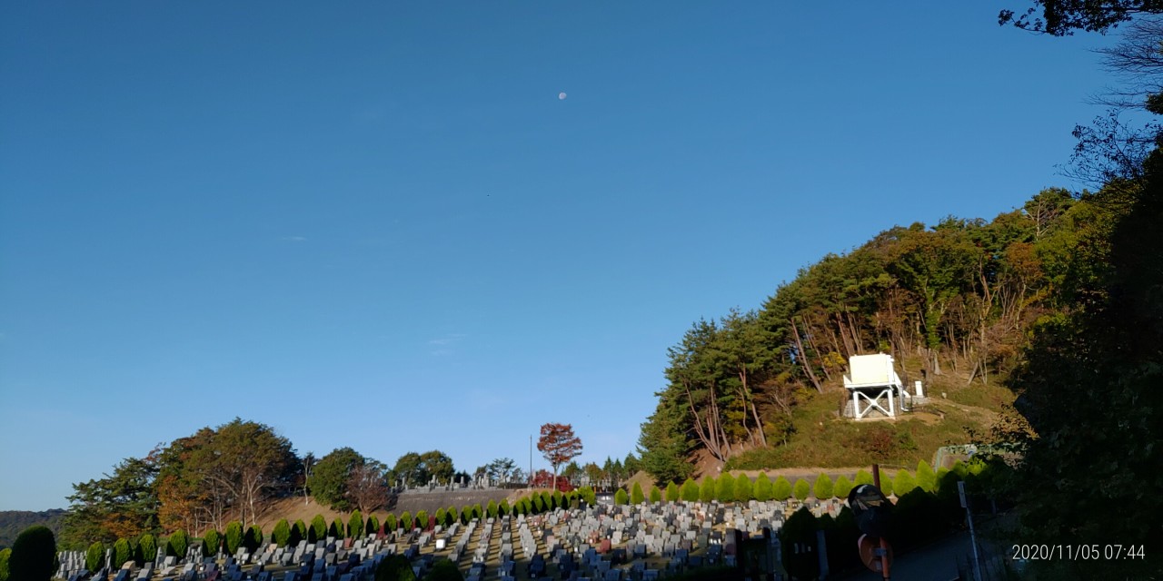 11区2番芝生墓所風景