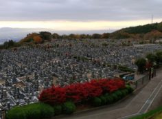 11区1番墓所から園内（南）風景